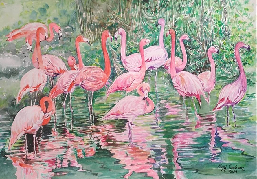 flamingolar 35×50 suluboya 2021 6000